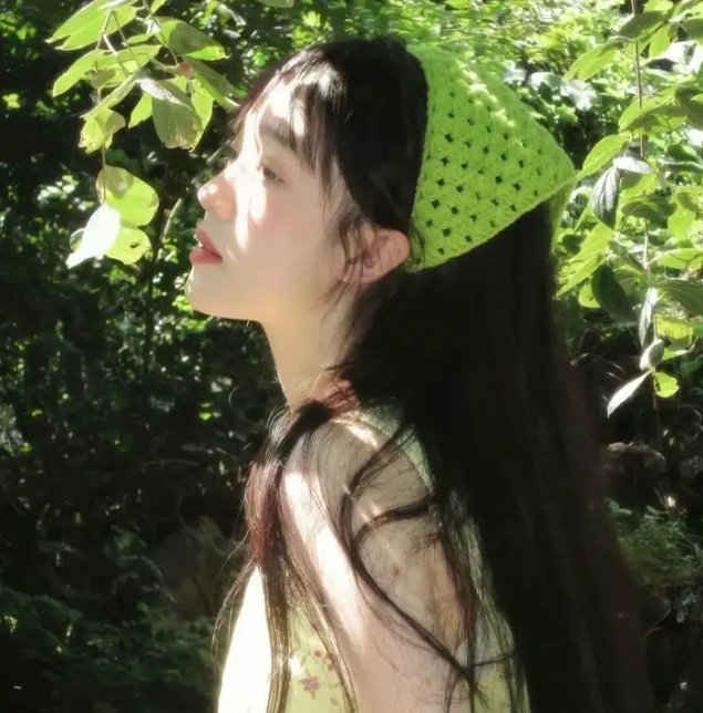 第一夫人的逆袭海报